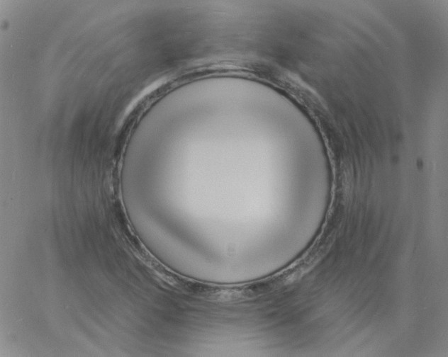 X0000060741166200512081910