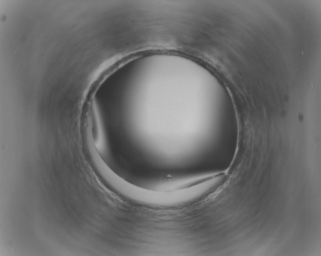 X0000060741168200512081910