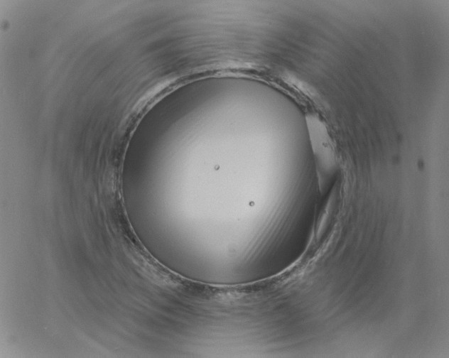 X0000060741169200512081910