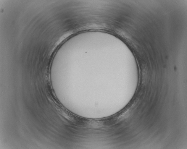 X0000060741170200512081910