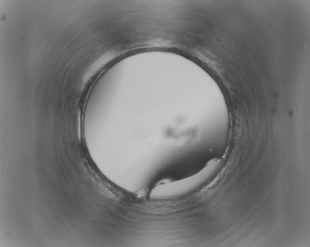 X0000060741171200512081910