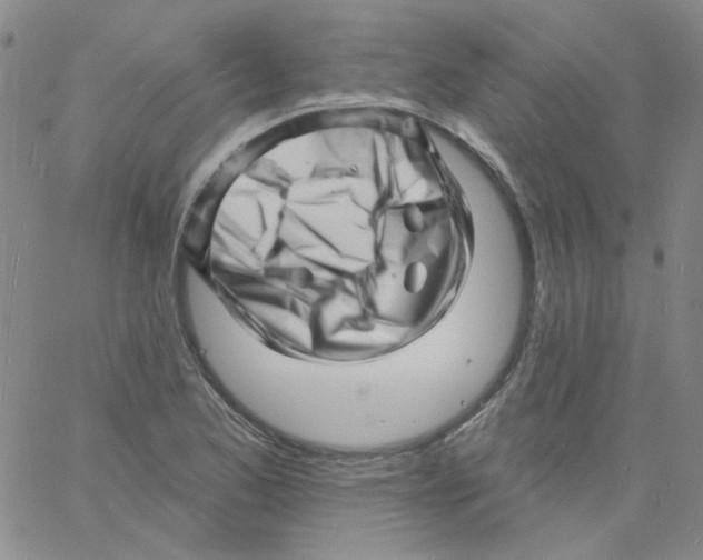 X0000060741173200512081910