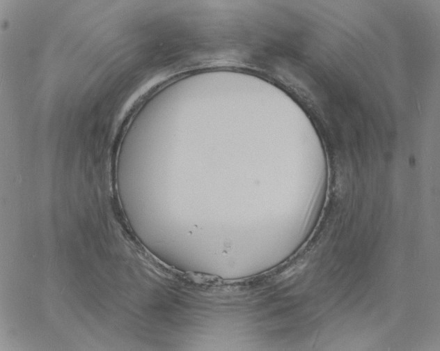 X0000060741174200512081910