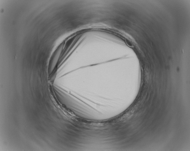 X0000060741176200512081910