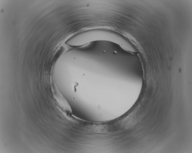 X0000060741177200512081910