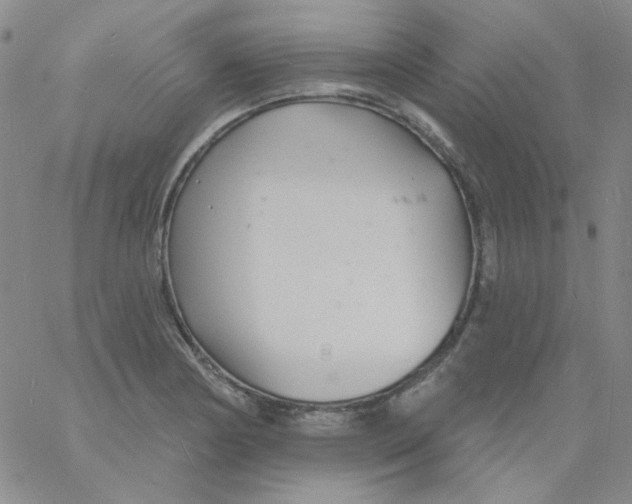 X0000060741178200512081910