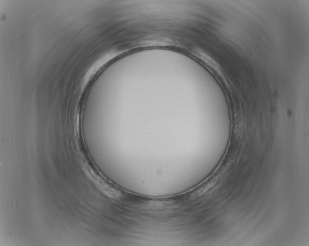 X0000060741179200512081910