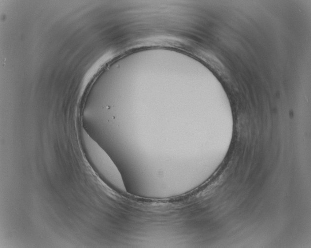 X0000060741180200512081910