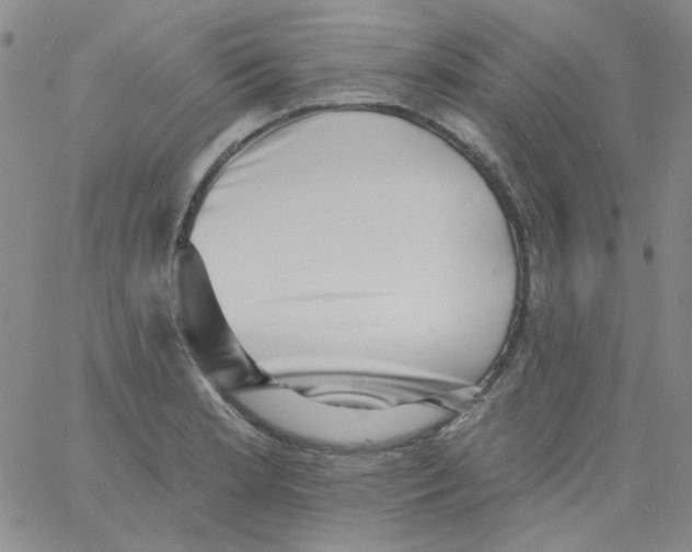 X0000060741181200512081910