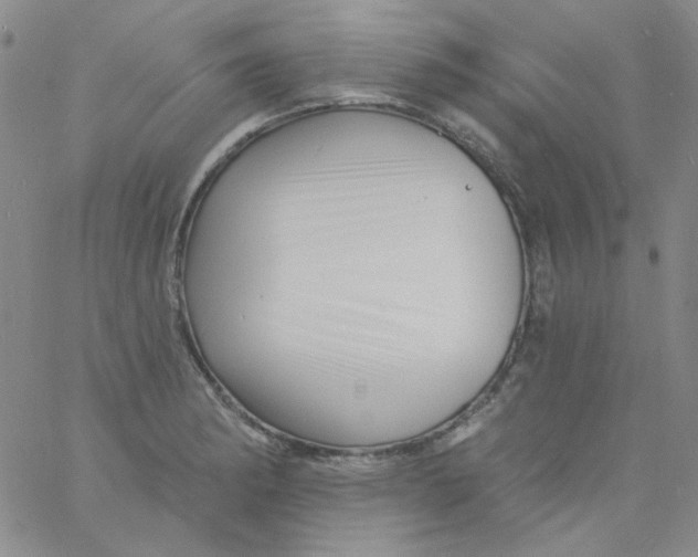 X0000060741182200512081910