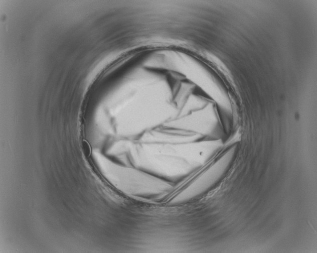 X0000060741183200512081910