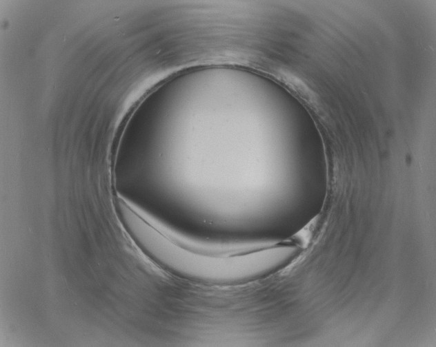 X0000060741184200512081910