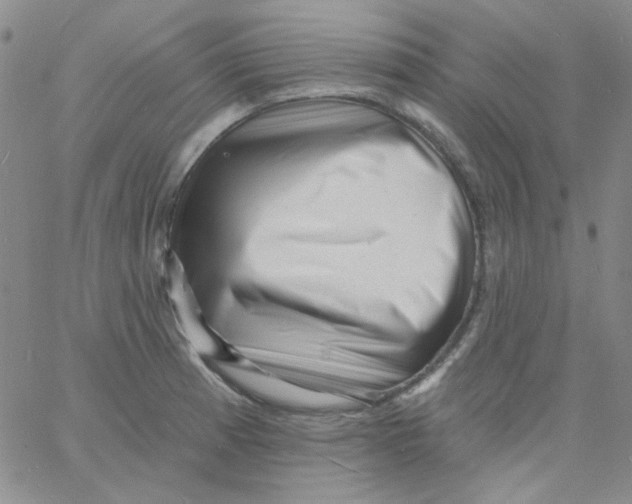 X0000060741185200512081910