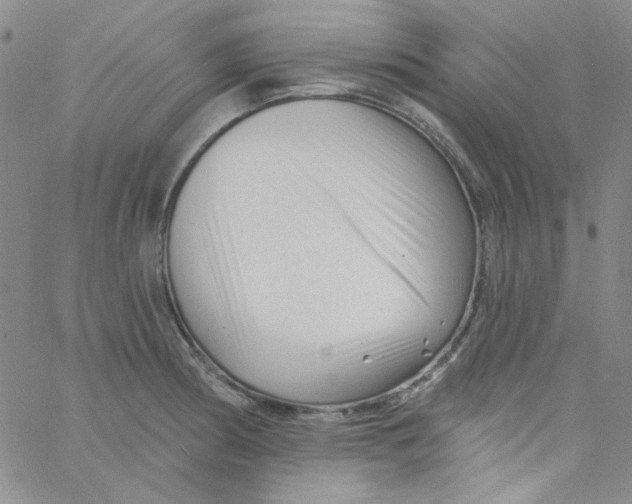 X0000060741186200512081910