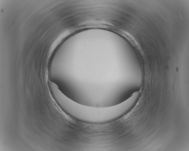 X0000060741188200512081910