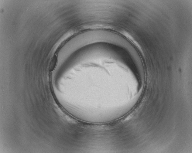 X0000060741189200512081910