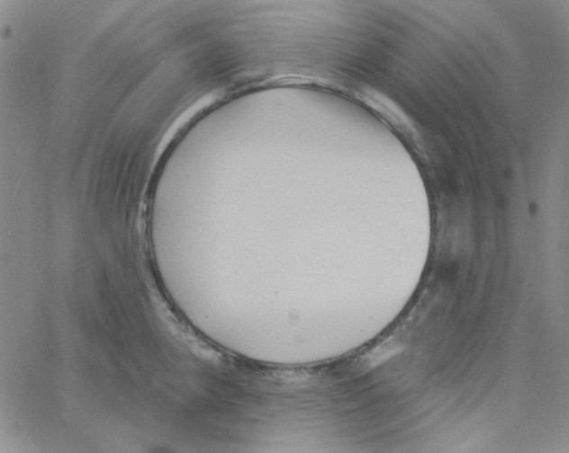 X0000060741190200512081910