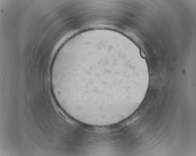 X0000060741191200512081910