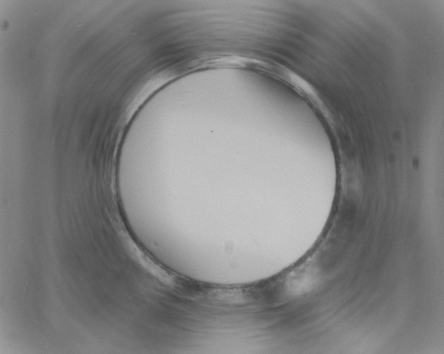 X0000060741194200512081910