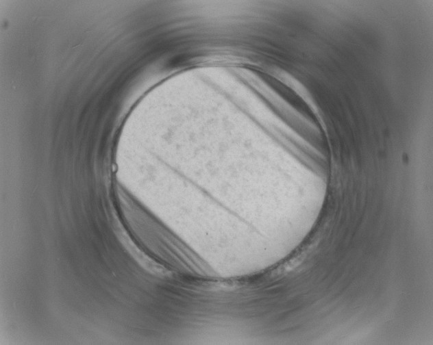 X0000060741195200512081910