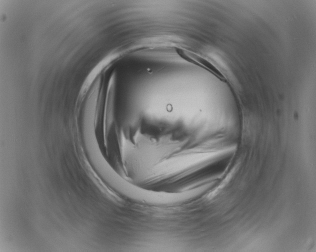 X0000060741196200512081910