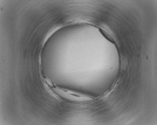 X0000060741198200512081910