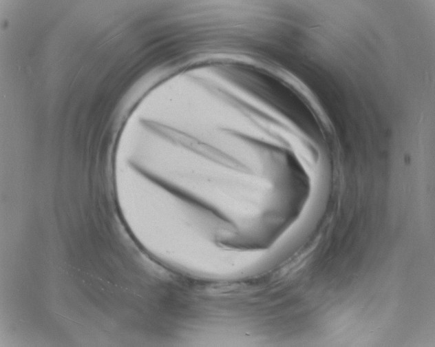 X0000060741199200512081910