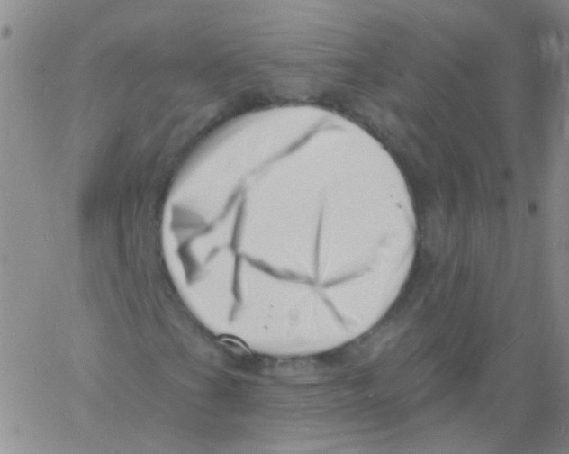 X0000060741201200512081909