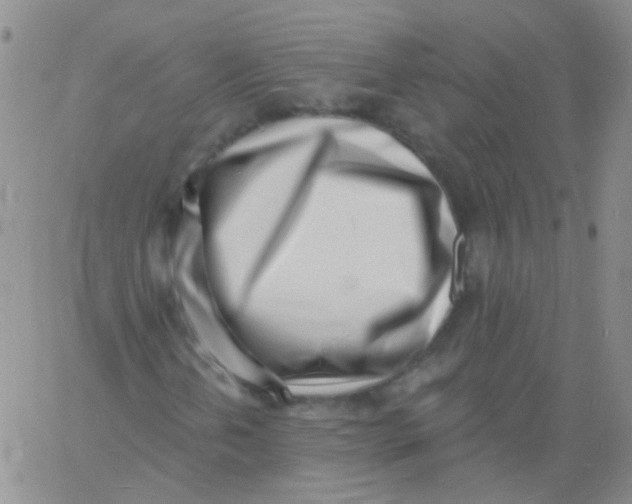 X0000060741202200512081909