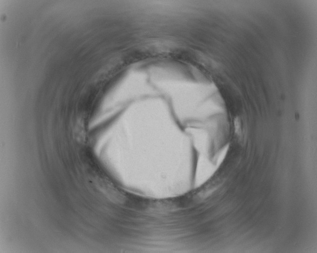 X0000060741203200512081909