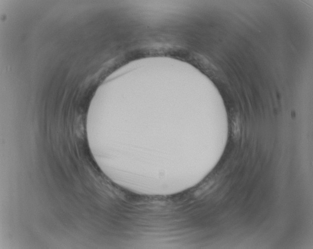 X0000060741204200512081909