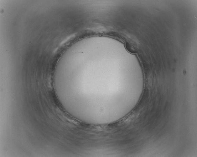 X0000060741205200512081909