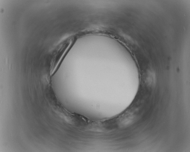 X0000060741206200512081909