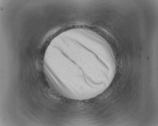 X0000060741207200512081909