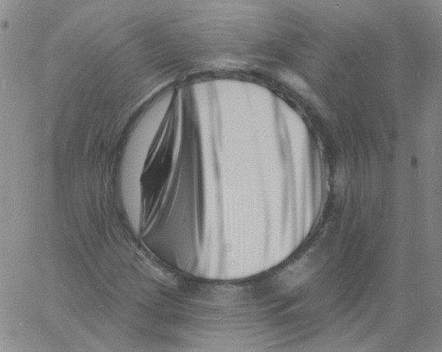 X0000060741209200512081909