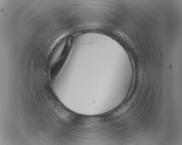 X0000060741210200512081909