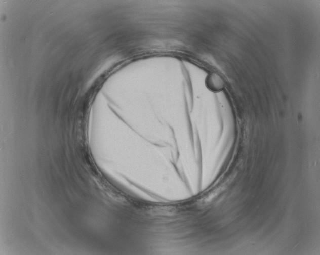 X0000060741211200512081909