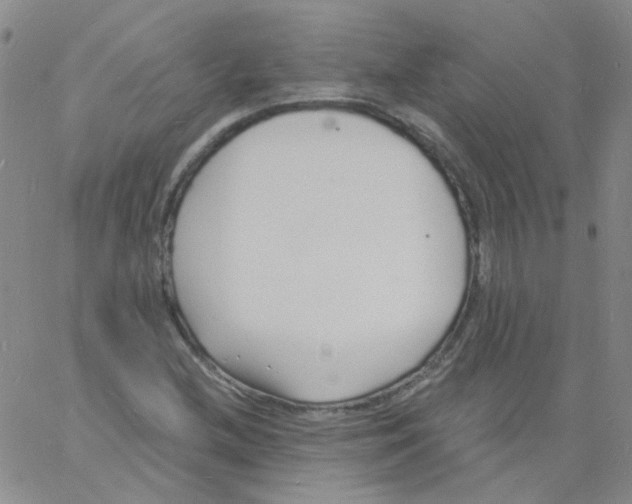 X0000060741212200512081909