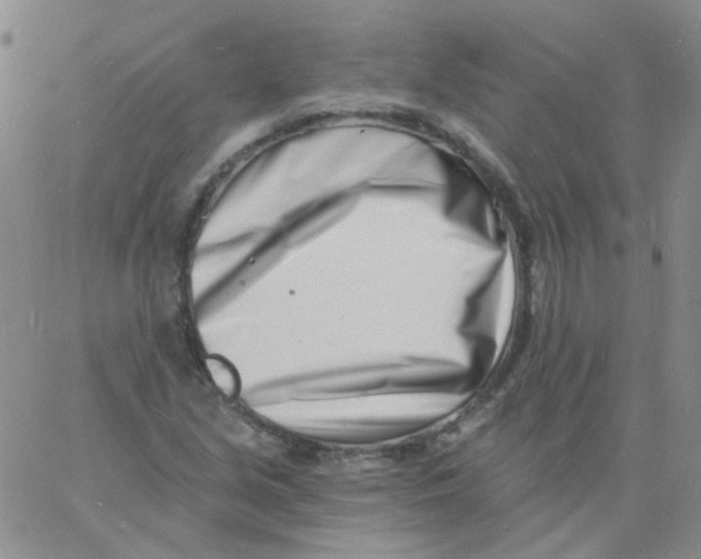 X0000060741213200512081909