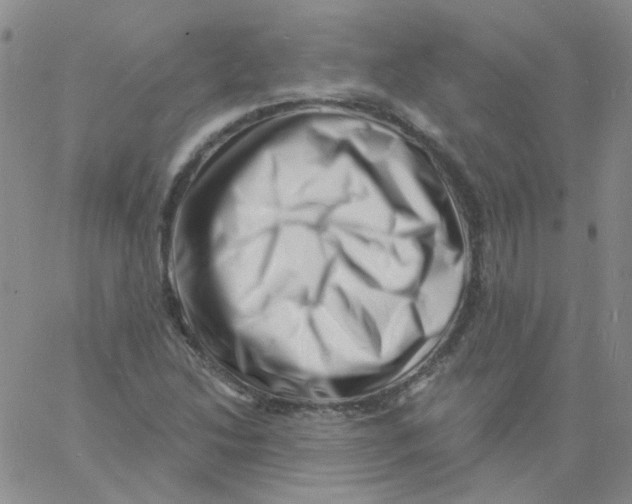 X0000060741214200512081909