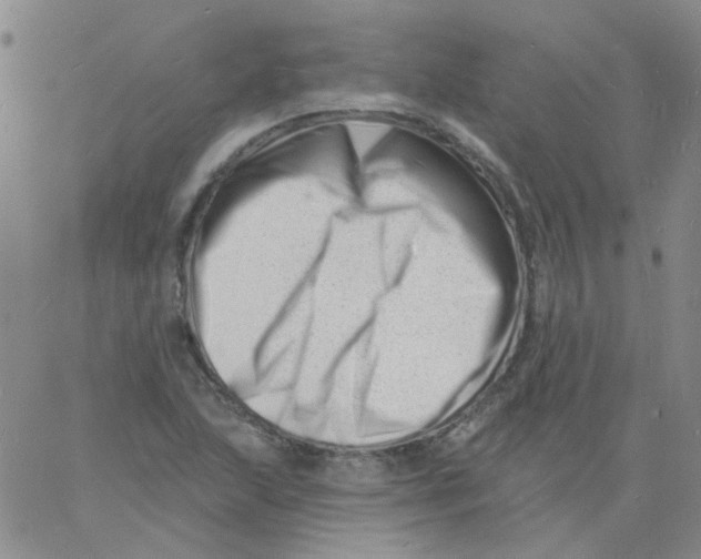 X0000060741215200512081909