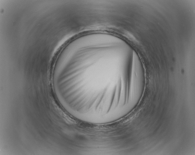 X0000060741216200512081909