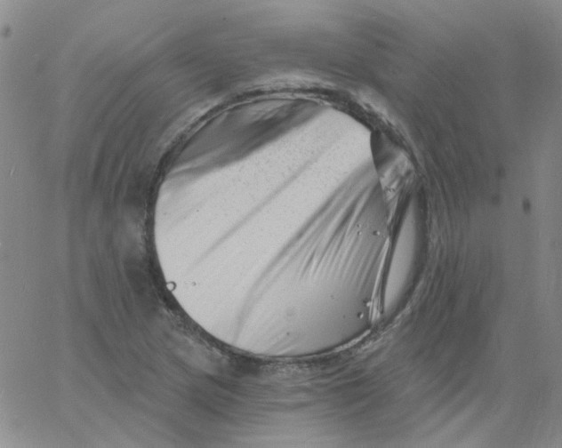 X0000060741217200512081909