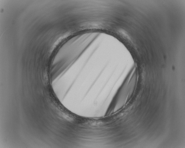 X0000060741218200512081909