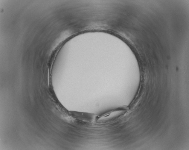 X0000060741219200512081909