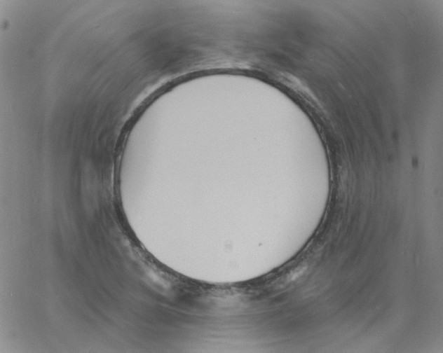 X0000060741220200512081909