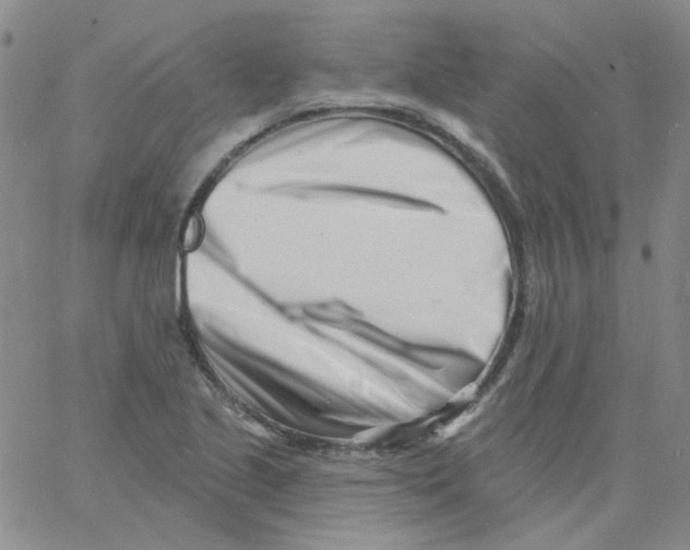 X0000060741221200512081909