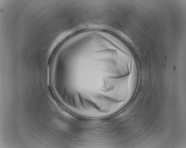 X0000060741223200512081909