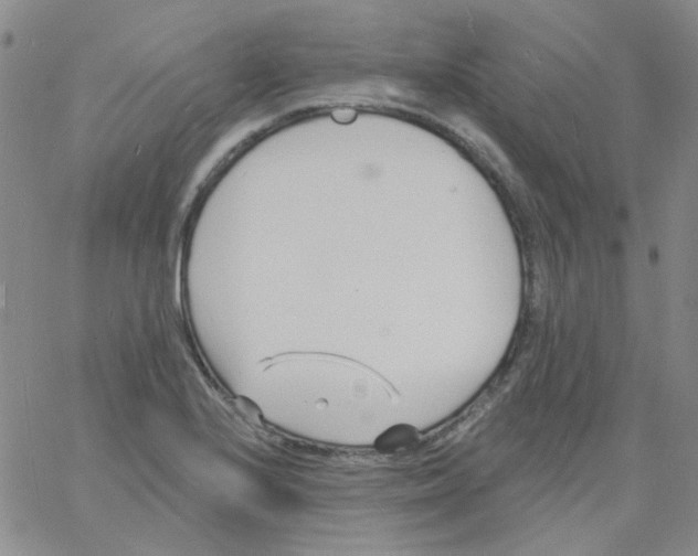 X0000060741224200512081909