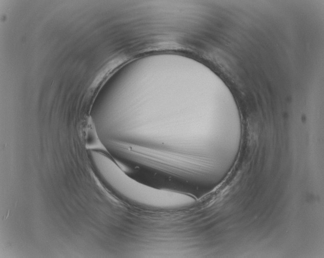 X0000060741225200512081909